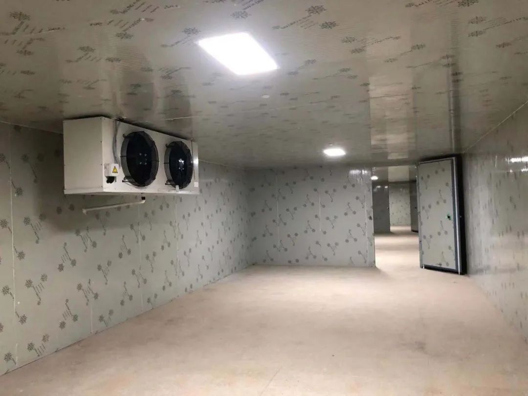 岢岚气调保鲜冷库造价